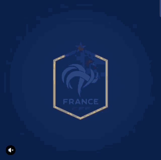 équipe De France Logo GIF - équipe De France Logo équipe De France Logo GIFs