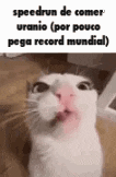 a white cat with a pink nose is looking up at the camera with its mouth open .