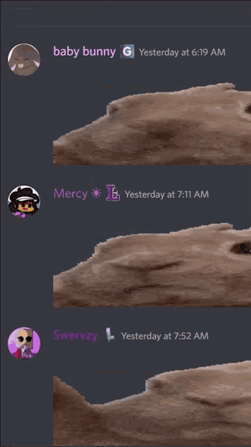 a screenshot of a discord conversation between sunnyside wild and maverick