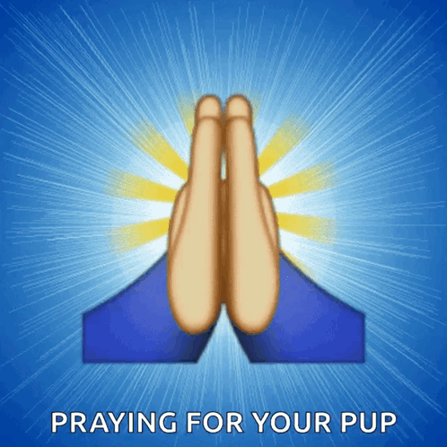 Praying Hands Pray GIF - Praying Hands Pray Faith GIFs