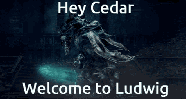 a poster that says hey cedar welcome to ludwig