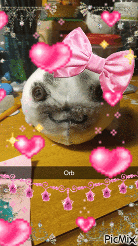 a picture of a stuffed animal with a pink bow and the word orb on the bottom