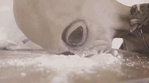a close up of a person eating cocaine from a table with an alien in the background .