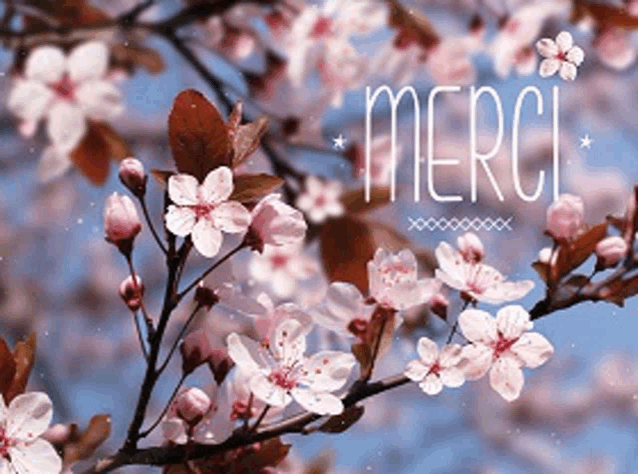 a tree branch with pink flowers and the word merci