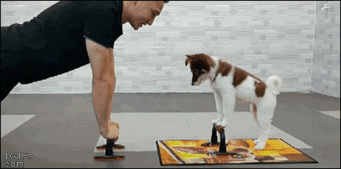 a man is doing push ups while a dog looks on ..
