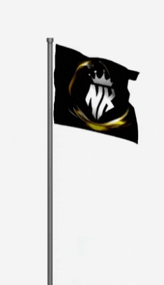 a black flag with a nk logo on it is flying in the wind