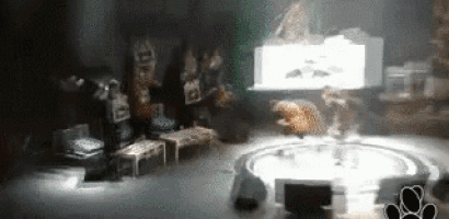 a blurred image of a room with a table and chairs in it