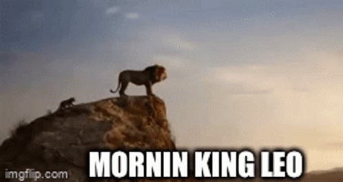 Morning Leo GIF - Morning Leo Hi GIFs