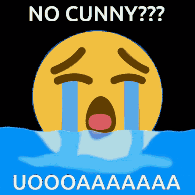 a crying smiley face with tears coming out of its eyes and the words no cunny