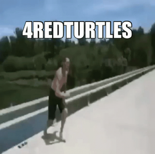 4red Turtles GIF - 4red Turtles GIFs