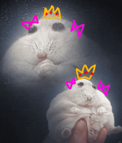 a hamster with a crown on its head is being held by someone