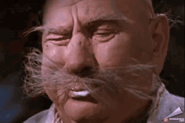 a close up of a man with a large mustache