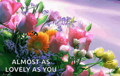 a ladybug is sitting in a bouquet of flowers with the words " almost as lovely as you "