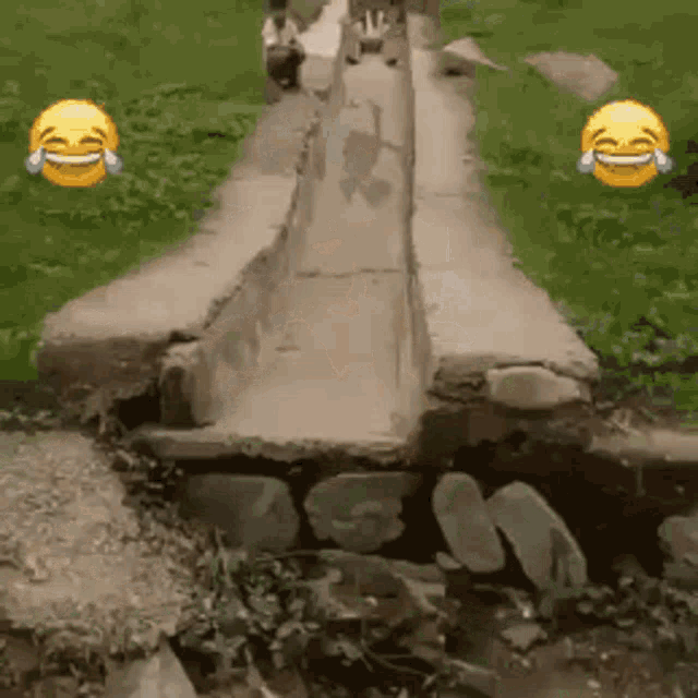 a couple of smiley faces are laughing while walking down a path .
