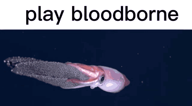 a squid is swimming in the water with the words play bloodborne above it .