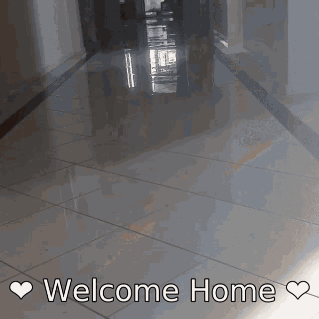 Welcome Home Cute Cat GIF - Welcome Home Cute Cat Cat GIFs