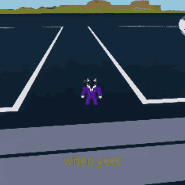 a black and purple cat is walking down a road with the words " when yeet " above it