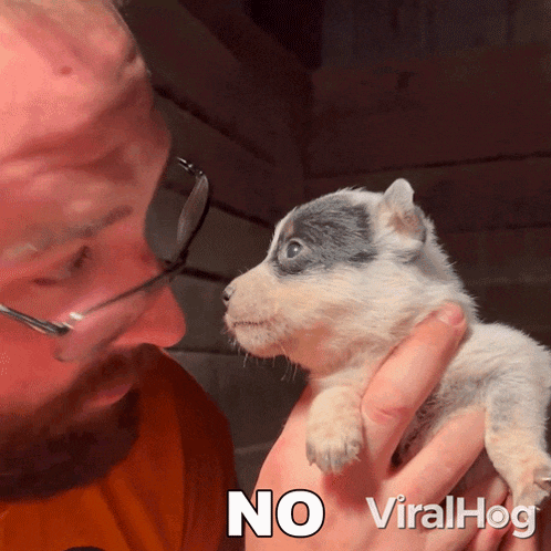 a man holding a puppy with the words " no viralhog " above it