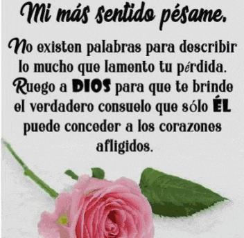 a picture of a pink rose with a message in spanish on it