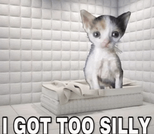 a kitten is sitting on a mattress with the words " i got too silly " above it