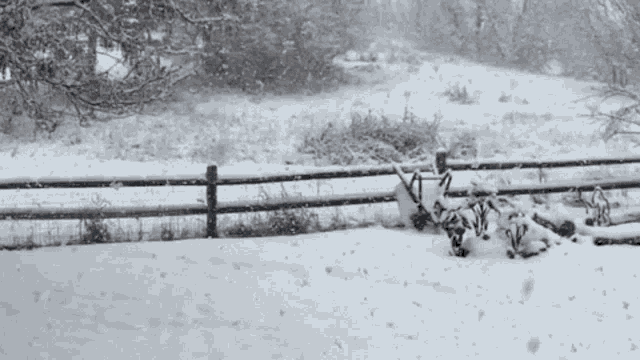 a fence is covered in snow with a few bikes parked in the snow