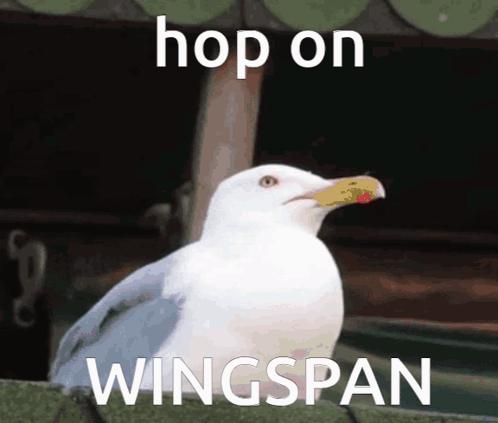 Hop On Hop On Wingspan GIF - Hop On Hop On Wingspan Wingspan GIFs