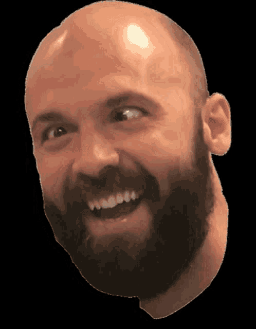 a man with a beard and a bald head is smiling