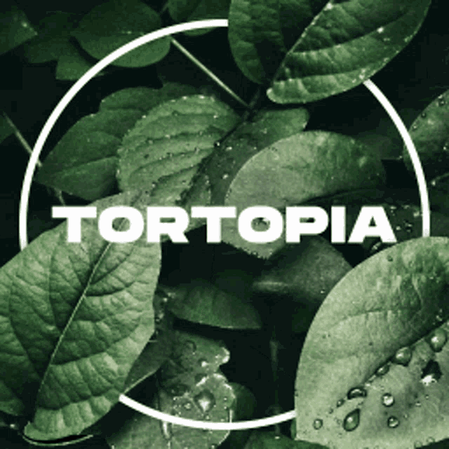 Leaf Tortopia GIF - Leaf Tortopia Discord GIFs