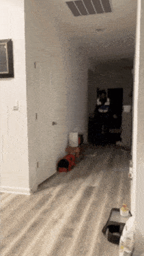 a hallway in a house with a person standing in the corner