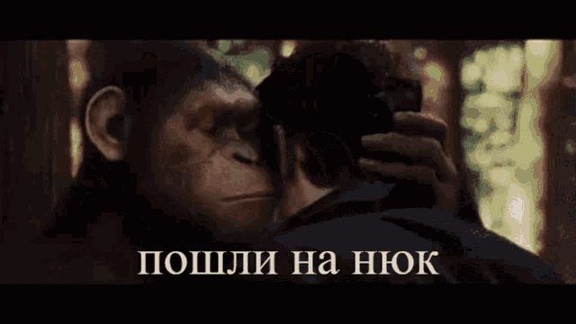 a man and a chimpanzee are looking at each other in a movie scene