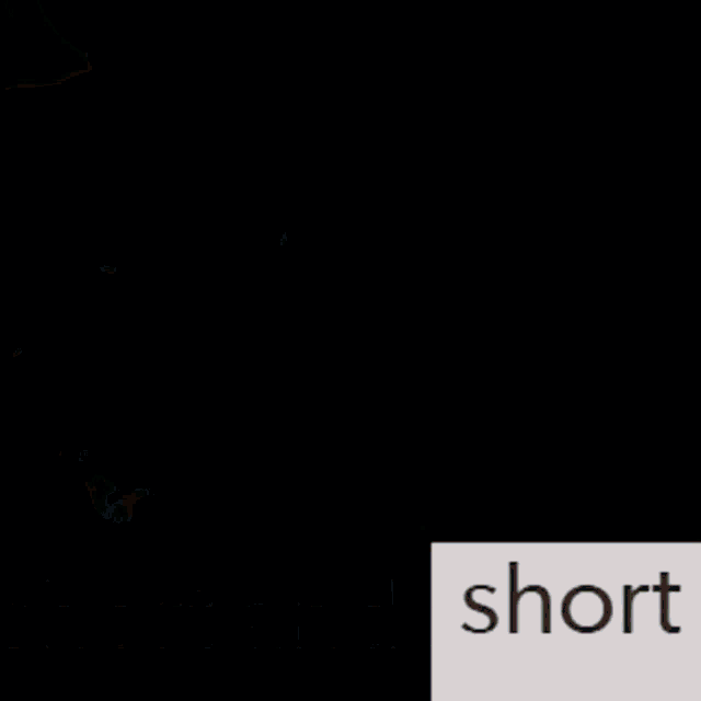 Vine Short GIF - Vine Short Stoat GIFs