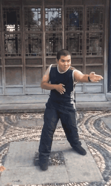 Punch Kung Fu GIF - Punch Kung Fu Karate GIFs