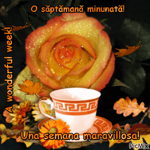 a cup of coffee sits on a saucer next to a flower and leaves and says a wonderful week una semana maravillosa