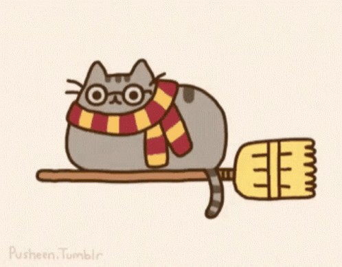 Pusheen Harry Potter GIF - Pusheen Harry Potter Witchs Broom GIFs