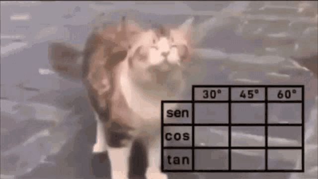 Cat Trigonometry GIF - Cat Trigonometry Table GIFs