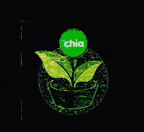 a green logo with a plant in a pot and the word chia