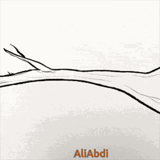 a book called hang in there by aliabdi has a picture of goldfish on the cover