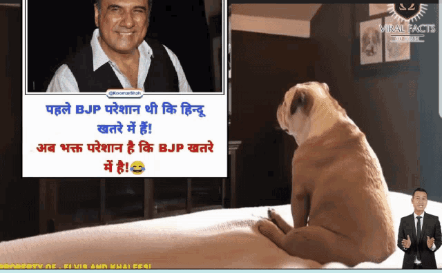 a dog is sitting on a bed next to a man and a sign that says viral fact