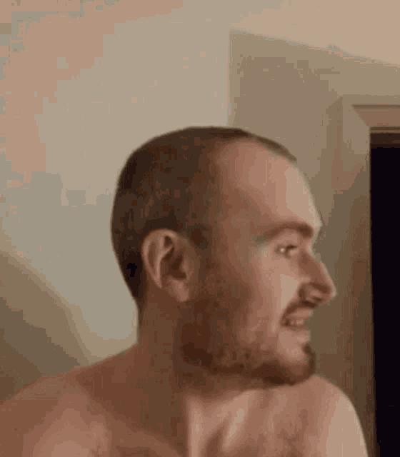 a shirtless man with a beard is smiling and looking to the side .
