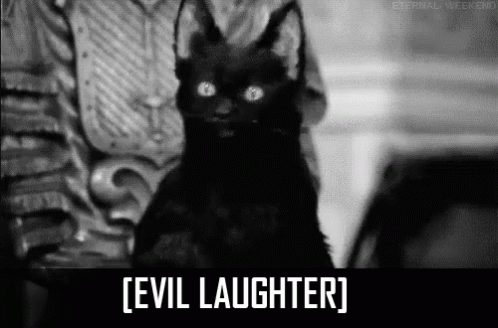 Funny Cat GIF by DarkGaia-BadAngel on DeviantArt
