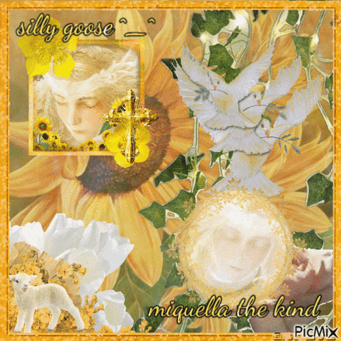 a picture of a woman surrounded by sunflowers with the words silly goose on it