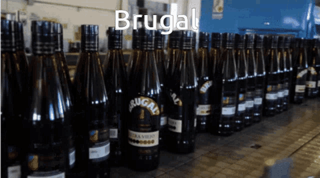 bottles of brugal are lined up on a counter