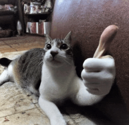a cat is giving a thumbs up sign while laying on the floor