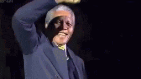 Waving GIF - Nelson Mandela Day GIFs