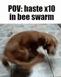 Bee Swarm Dog GIF - Bee Swarm Dog Running GIFs