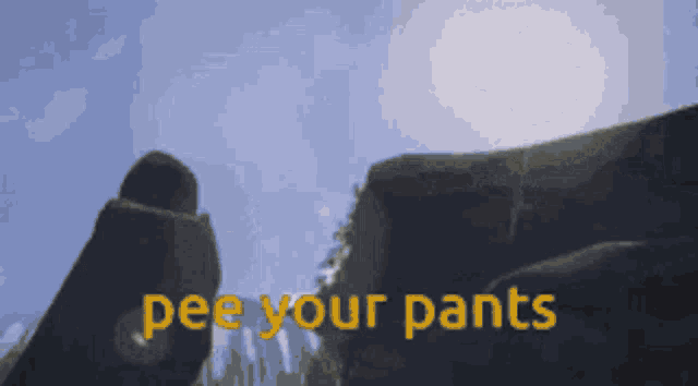 a picture of a rock with the words pee your pants