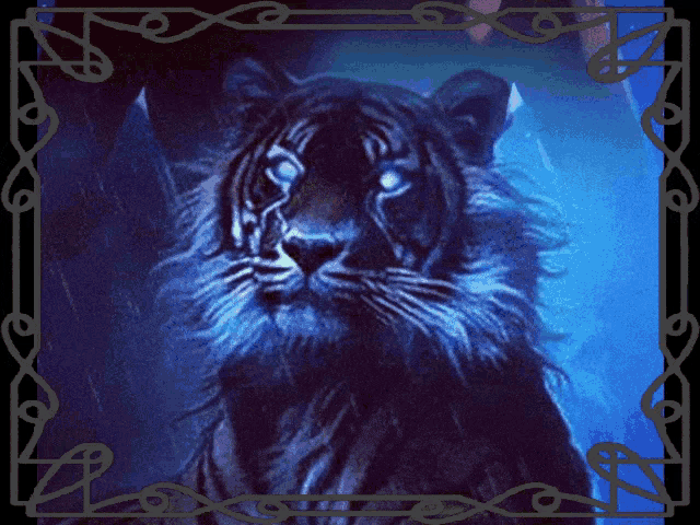 a painting of a tiger with blue eyes in a celtic frame