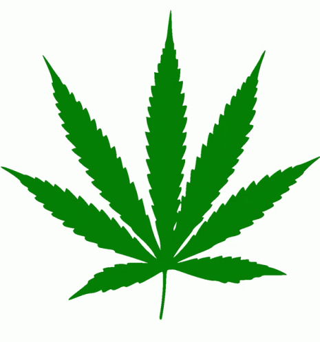 Cannabis Legalize GIF - Cannabis Legalize Legalise Nz GIFs