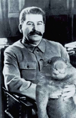 a man with a mustache is sitting in a chair holding a rabbit .