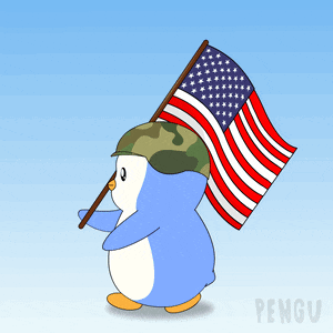 a penguin wearing a camo helmet holds an american flag